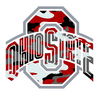 Ohio State Logo Camo Image